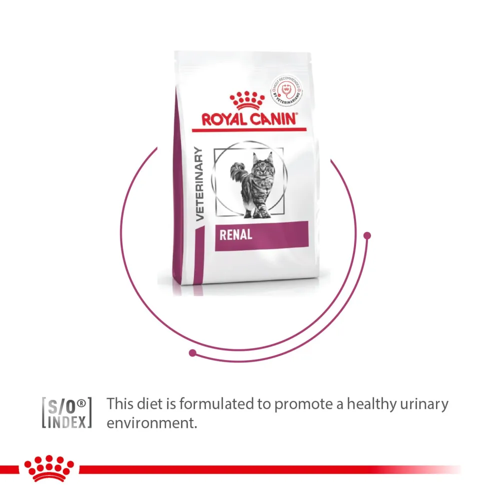 Royal Canin Veterinary Diet Renal Support Dry Food For Cat - 2 Kg