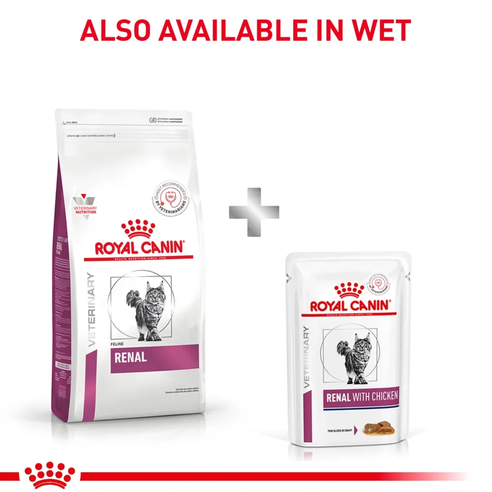 Royal Canin Veterinary Diet Renal Support Dry Food For Cat - 2 Kg
