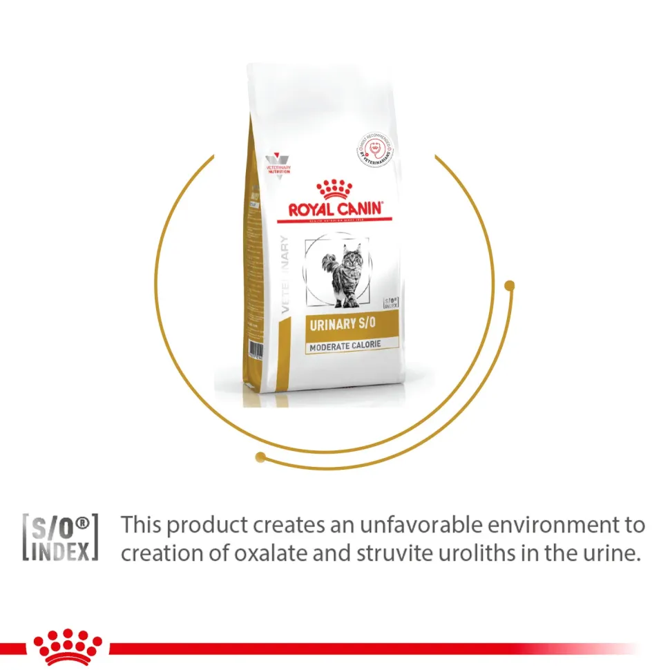 Royal Canin Veterinary Urinary S/O Moderate Calories Dry Food For Cat - 1.5 kg