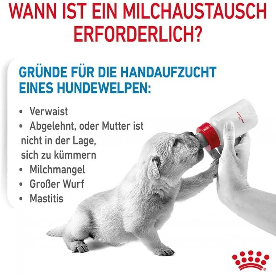 Royal Canin Baby Dog 1st Age Milk