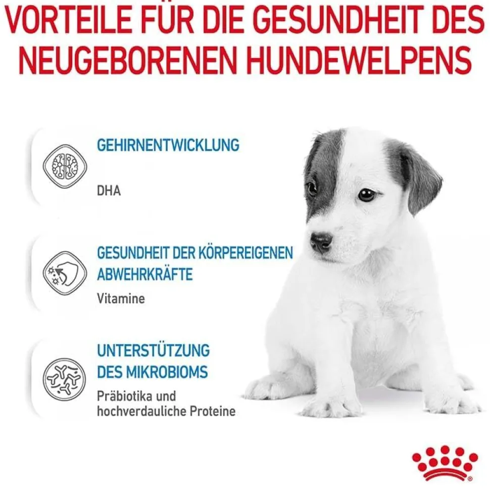 Royal Canin Baby Dog 1st Age Milk