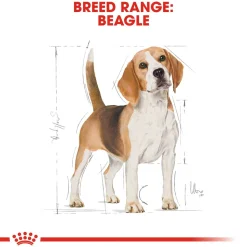 Royal Canin Beagle Adult Dry Dog Food