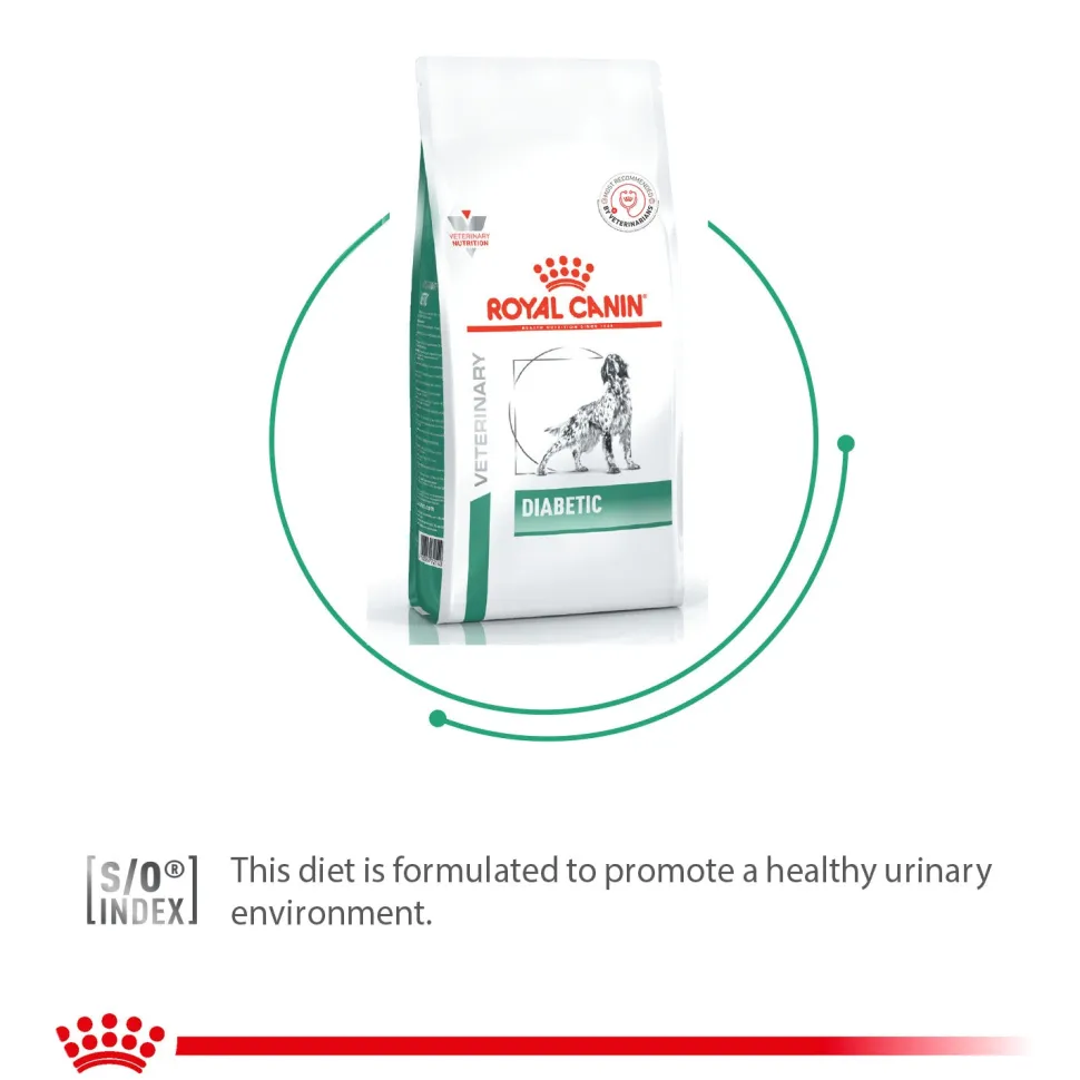 Royal Canin Diabetic Dry Food For Dog - 1.5 kg