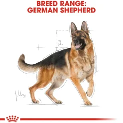 Royal Canin German Shepherd Adult Dry Dog Food
