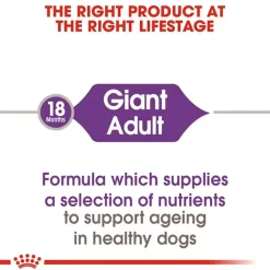 Royal Canin Giant Adult Dry Dog Food