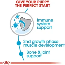 Royal Canin Giant Junior Dry Dog Food
