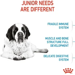 Royal Canin Giant Junior Dry Dog Food