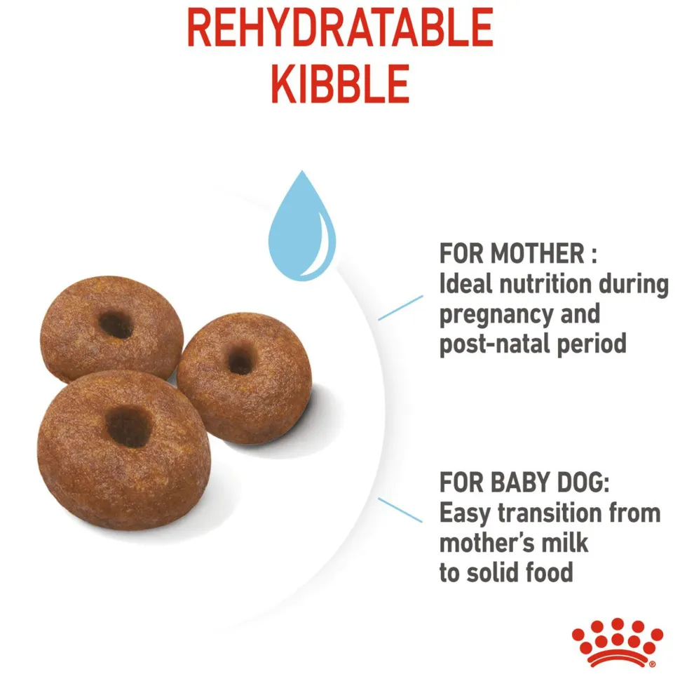 Royal Canin Giant Starter Dry Dog Food