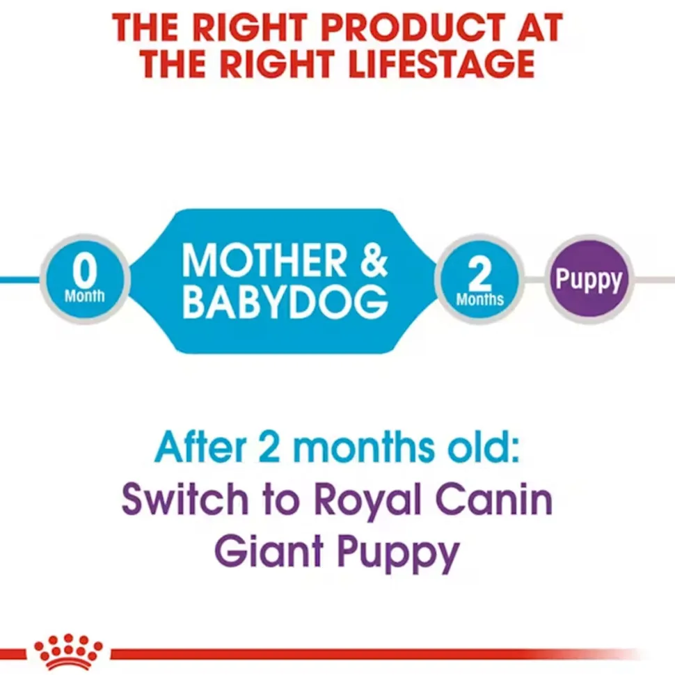 Royal Canin Giant Starter Dry Dog Food