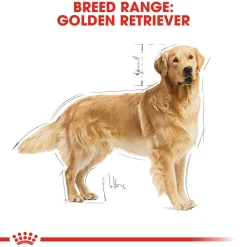 Royal Canin Golden Retriever Adult Dry Dog Food
