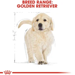 Royal Canin Golden Retriever Puppy Dry Dog Food
