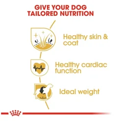 Royal Canin Golden Retriever Puppy Dry Dog Food