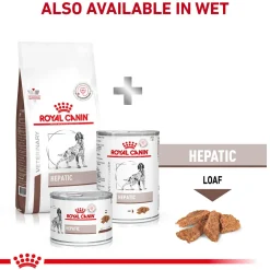 Royal Canin Hepatic Canine Veterinary Diet Dry Dog Food - 6 Kg