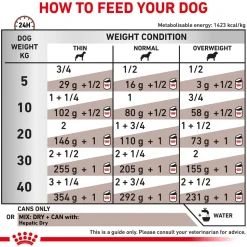 Royal Canin Hepatic Can Wet Food For Dog - 420 gm
