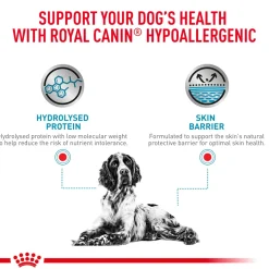 Royal Canin Hypoallergenic Veterinary Diet Wet Dog Food - 400 g