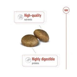 Royal Canin Maxi Adult Dry Dog Food