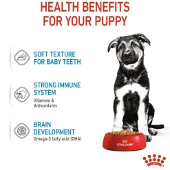 Royal Canin Maxi Breed Wet Puppy Food - 140 g