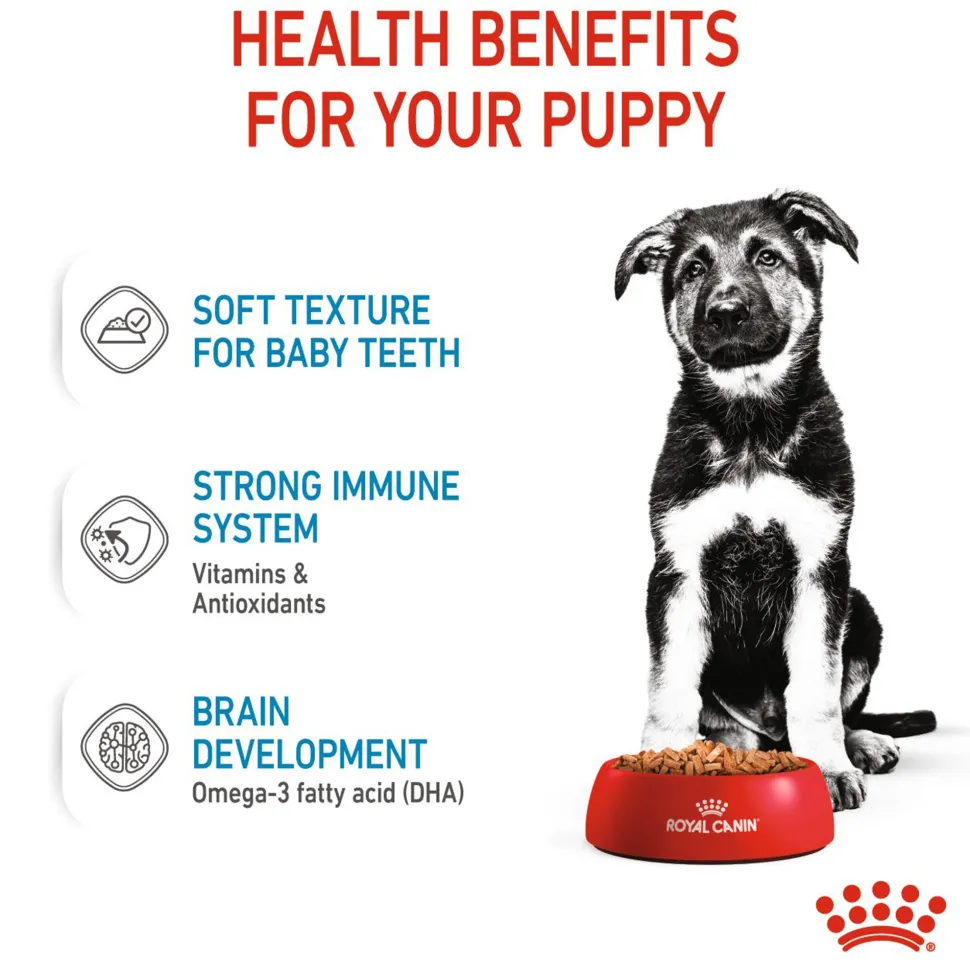 Royal Canin Maxi Breed Wet Puppy Food - 140 g