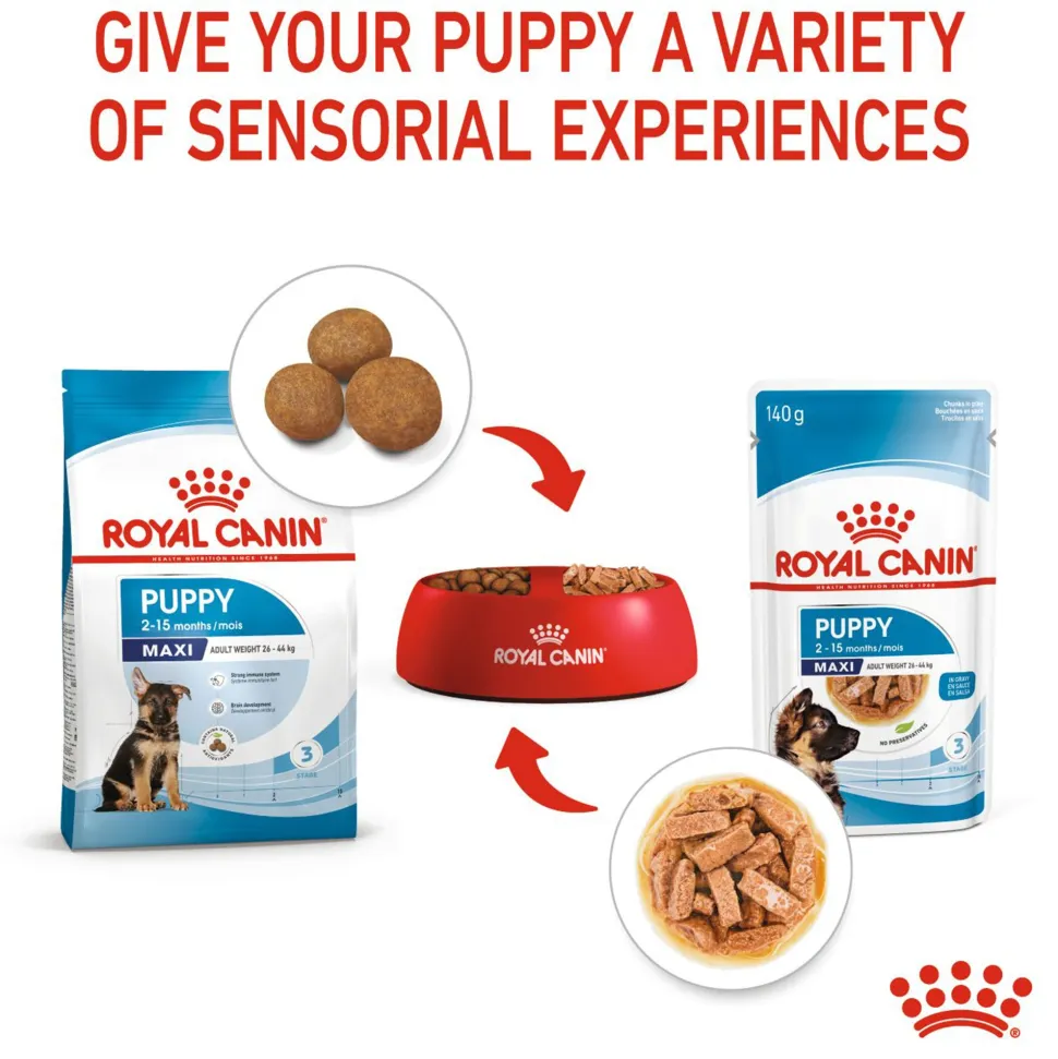 Royal Canin Maxi Breed Wet Puppy Food - 140 g
