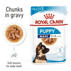 Royal Canin Maxi Breed Wet Puppy Food - 140 g