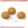 Royal Canin Maxi Dermacomfort Dry Food For Dog - 3 kg