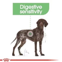 Royal Canin Maxi Digestive Care Dry Food For Dog - 3 Kg