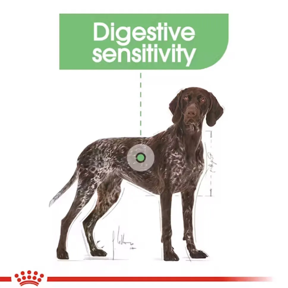 Royal Canin Maxi Digestive Care Dry Food For Dog - 3 Kg