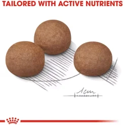 Royal Canin Maxi Digestive Care Dry Food For Dog - 3 Kg