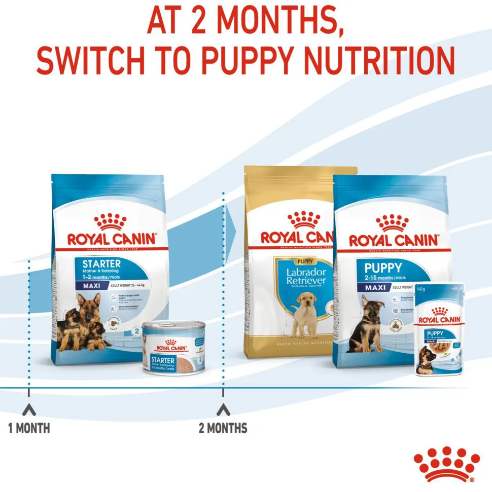 Royal Canin Maxi Starter Dry Dog Food