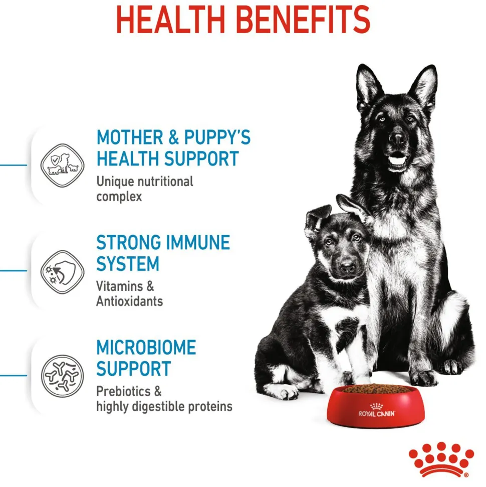 Royal Canin Maxi Starter Dry Dog Food