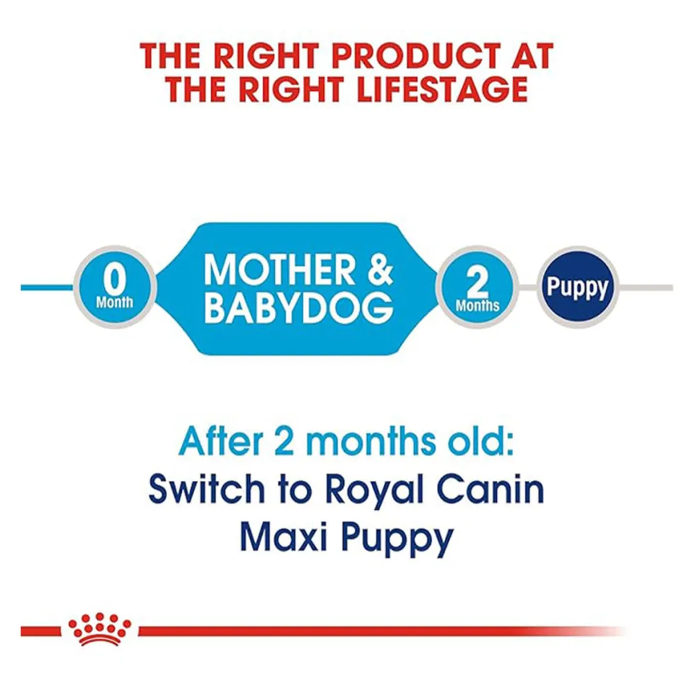 Royal Canin Maxi Starter Dry Dog Food