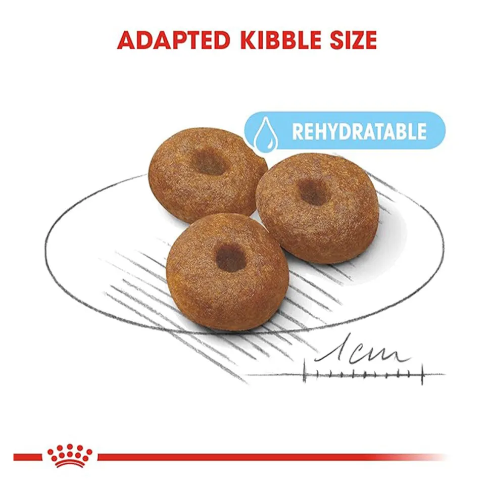 Royal Canin Maxi Starter Dry Dog Food