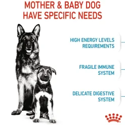 Royal Canin Maxi Starter Dry Dog Food