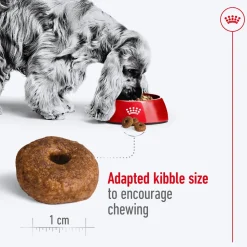 Royal Canin Medium Adult Dry Dog Food