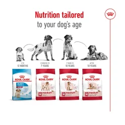 Royal Canin Medium Adult Dry Dog Food
