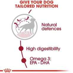 Royal Canin Medium Adult Dry Dog Food