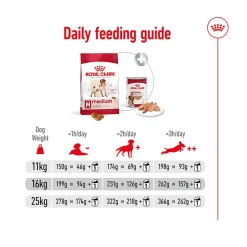 Royal Canin Medium Adult Dry Dog Food