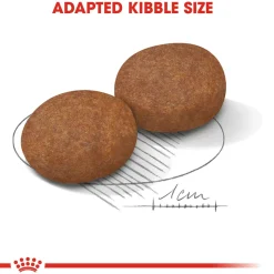 Royal Canin Medium Adult Dry Dog Food