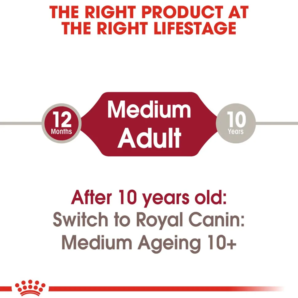 Royal Canin Medium Breed Adult Wet Dog Food - 140 g
