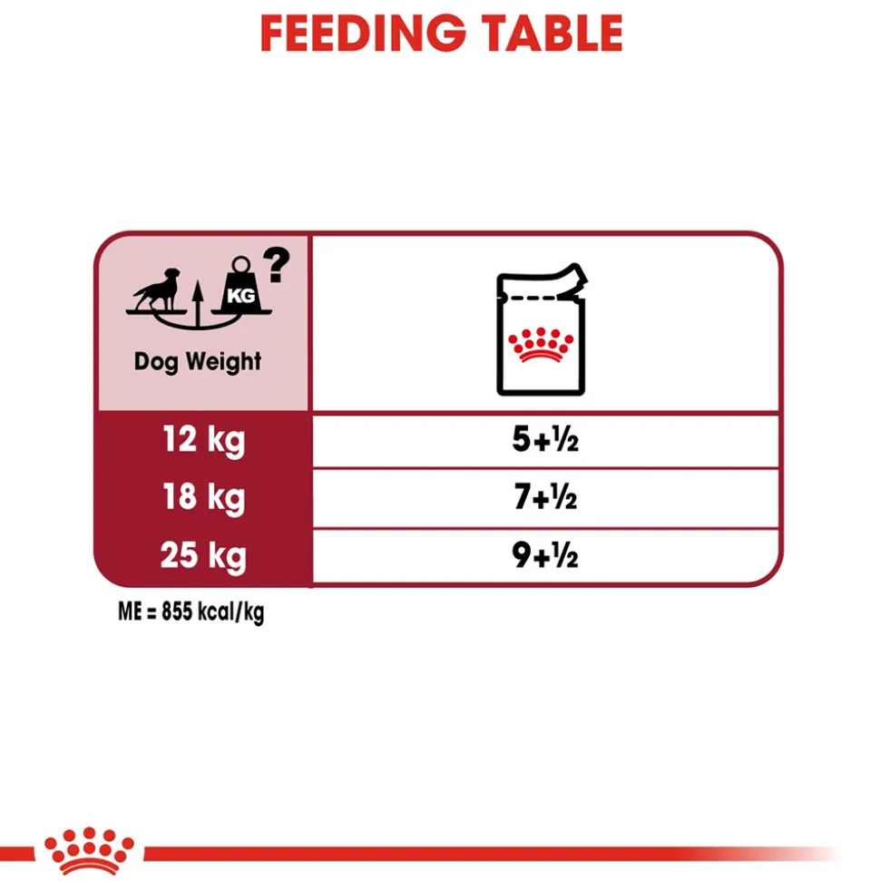 Royal Canin Medium Breed Adult Wet Dog Food - 140 g