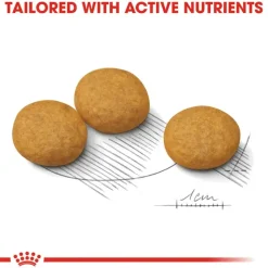 Royal Canin Medium Dermacomfort Dry Food For Dog - 3 kg