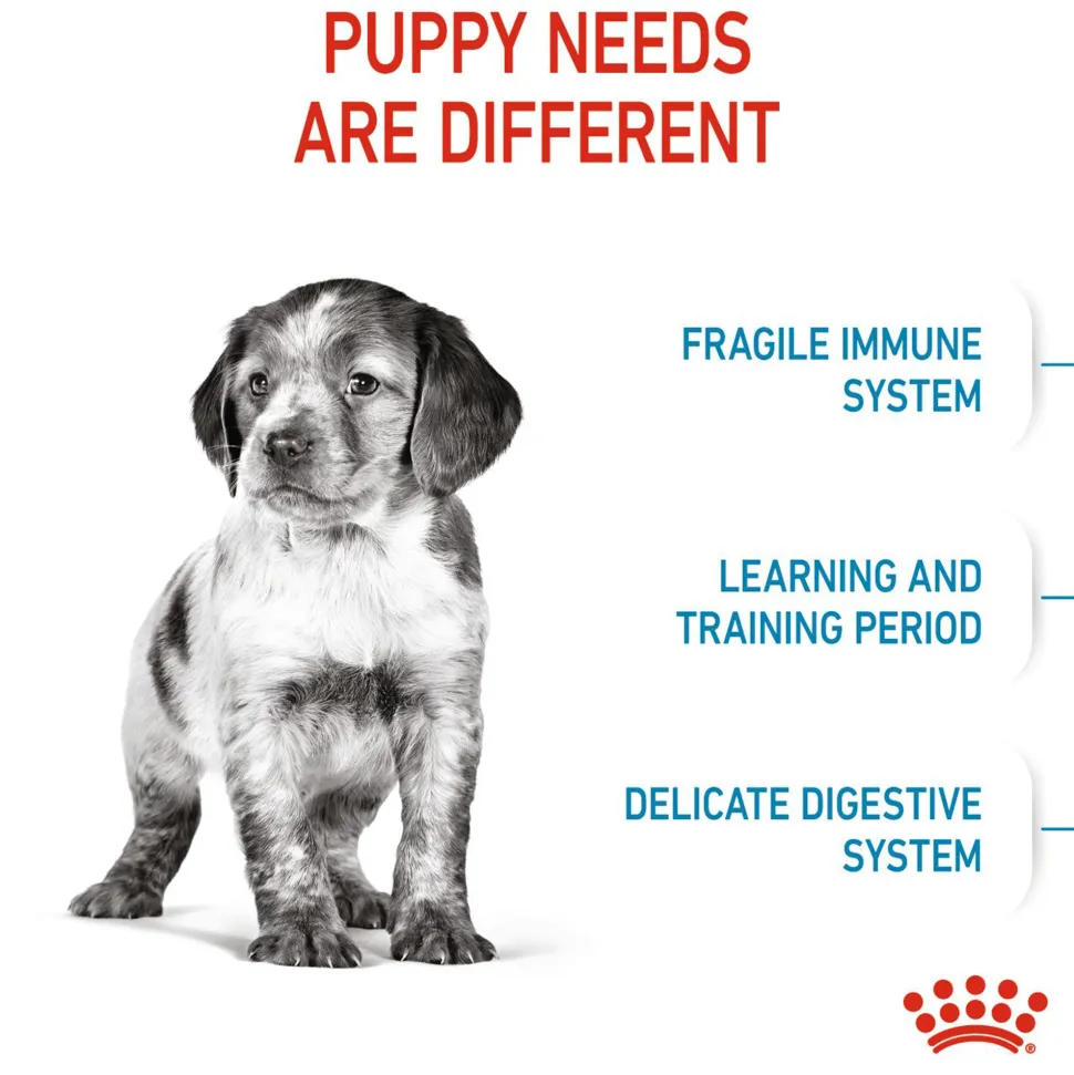 Royal Canin Medium Puppy Dry Dog Food