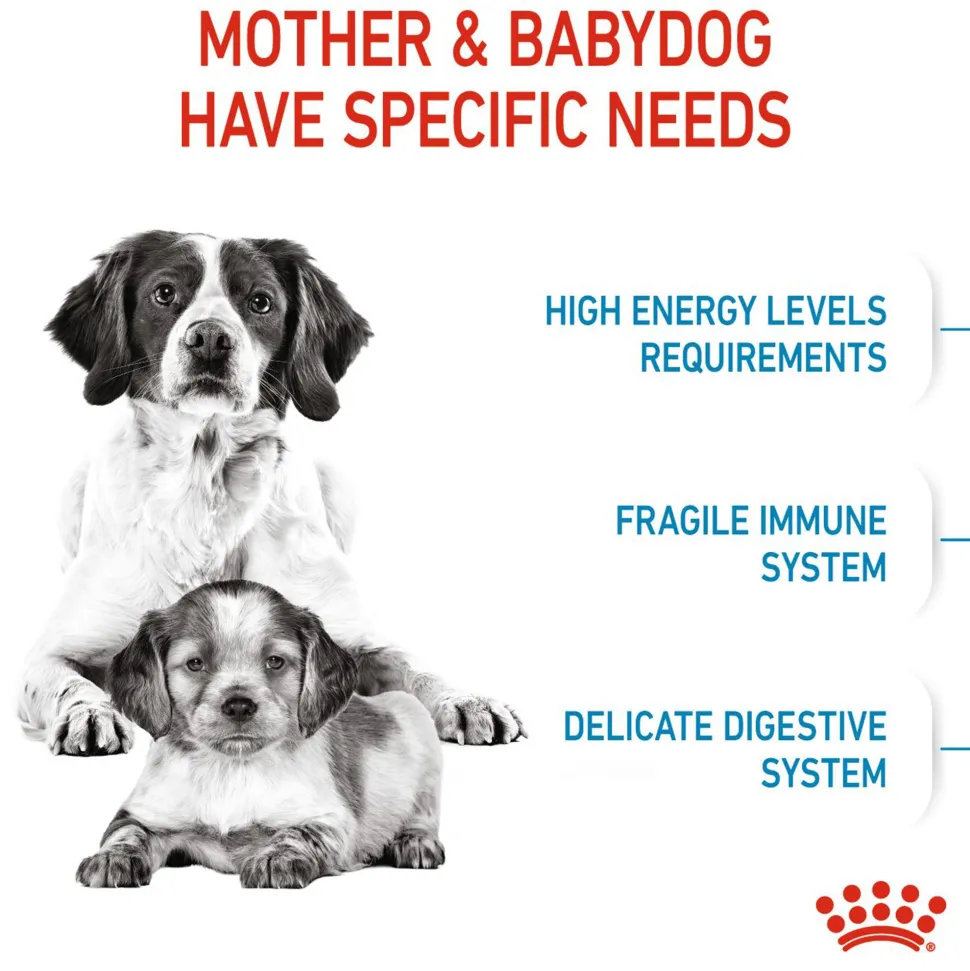 Royal Canin Medium Starter Dry Dog Food