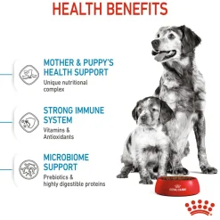 Royal Canin Medium Starter Dry Dog Food