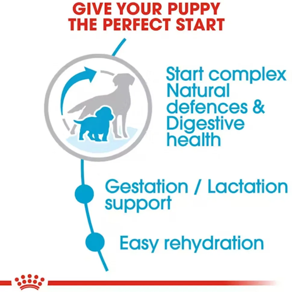 Royal Canin Medium Starter Dry Dog Food
