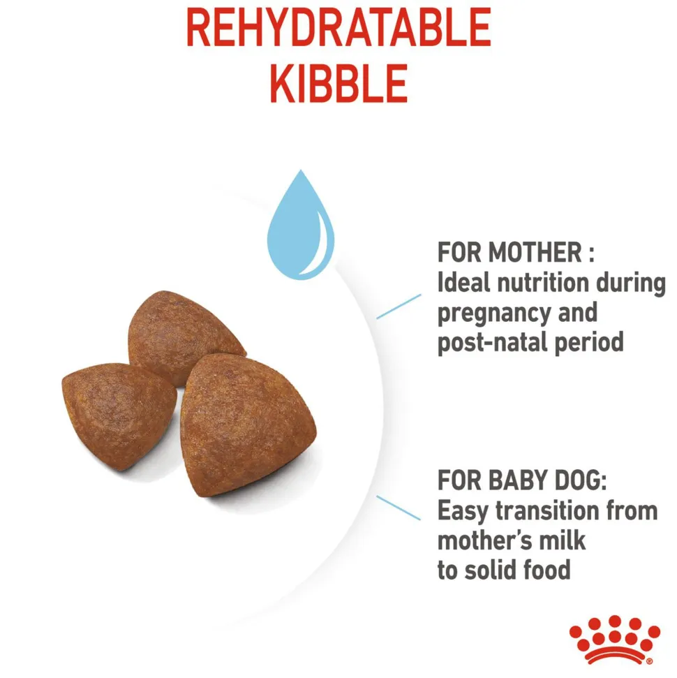 Royal Canin Medium Starter Dry Dog Food