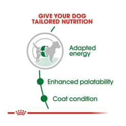Royal Canin Mini Adult Dry Dog Food