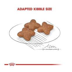 Royal Canin Mini Adult Dry Dog Food