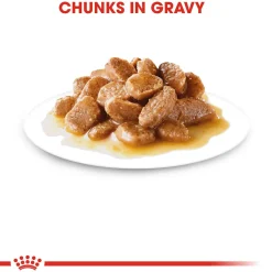 Royal Canin Mini Breed Adult Wet Dog Food - 85 g packs