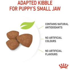 Royal Canin Mini Puppy Dry Dog Food